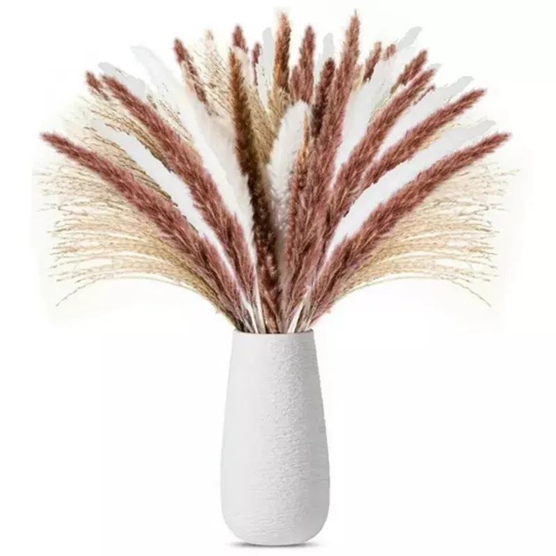 80Pcs Reed Pampas Grass Natural Dried Flowers Bouquet Wedding Decoration Hay For Party Bohemian Home Blume Table Mariage