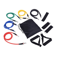 11pcs/Set Pull Rope, Resistance Bands, Portable Fitness Equipment, Ankle Strap, Chest Expander, Elastic Exercise Band Training