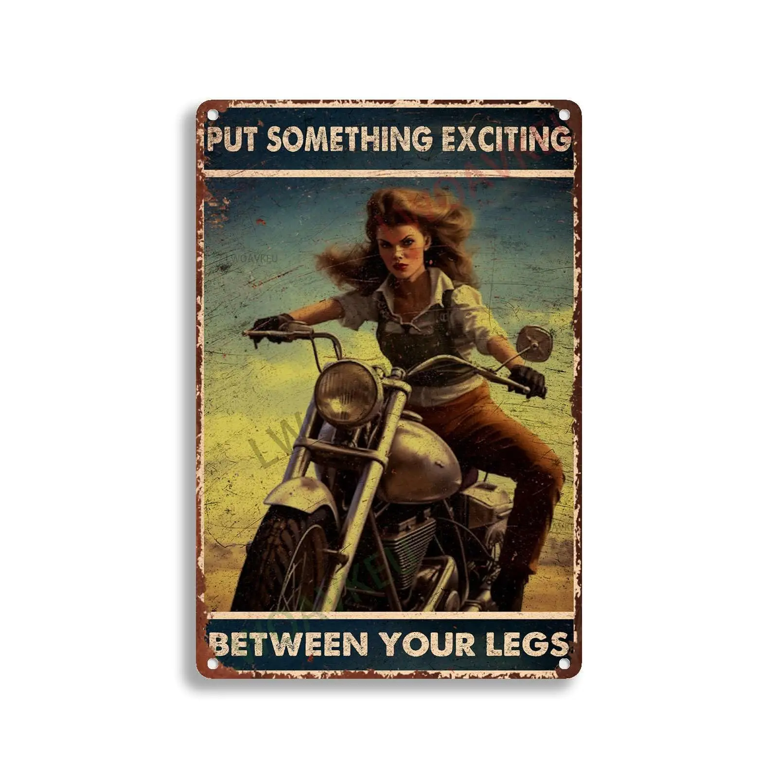 Aluminum Tin Signs Put Something Exciting Between Your Legs For Home Room Garage Wall Decoration 8.00x12.00