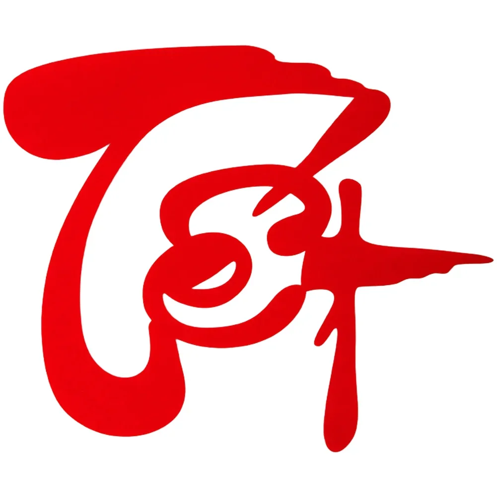 New Year Door Wall Decoration Featuring Vietnamese Characters In Flocked Fabric For Chinese Style Festive Environment