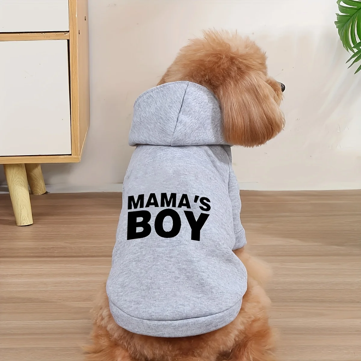 Gemütlicher Strick-Haustier-Kapuzenpullover – Winterwärme für kleine Hunde und Katzen, handwaschbar, perfekt für Teddy, Bichon, Pomeranian – Grau