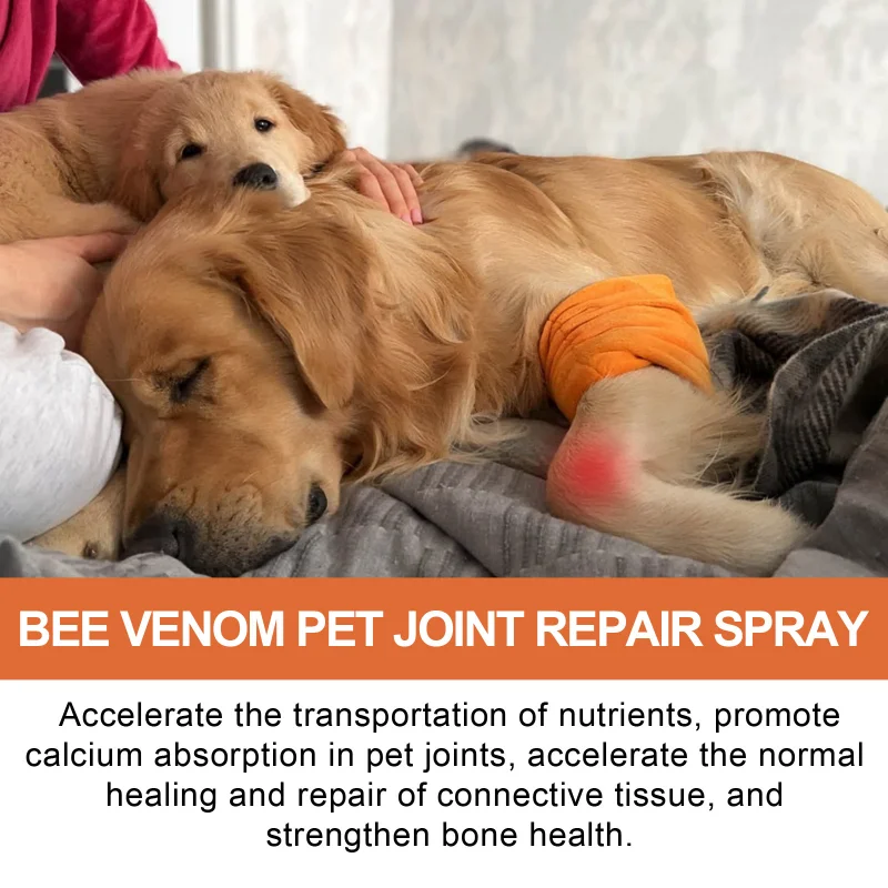 Pet Joint Care Spray Dog Cat Bone Deformities Healing Relieves Discomfort Joint Repair Supplement Dog Joint Caring Solution