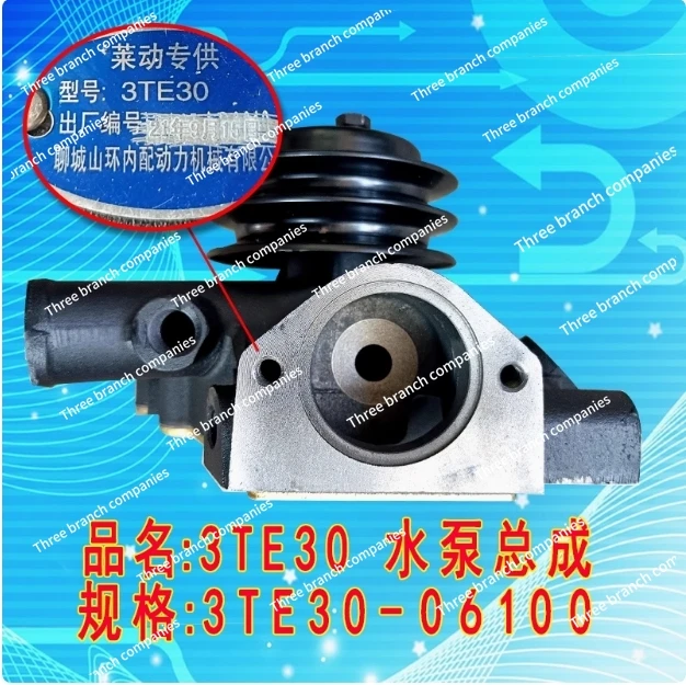 3TE30-06100 Cooling water pump Laidong 495 diesel engine 4TE70K Luzhong tractor circulating water pump