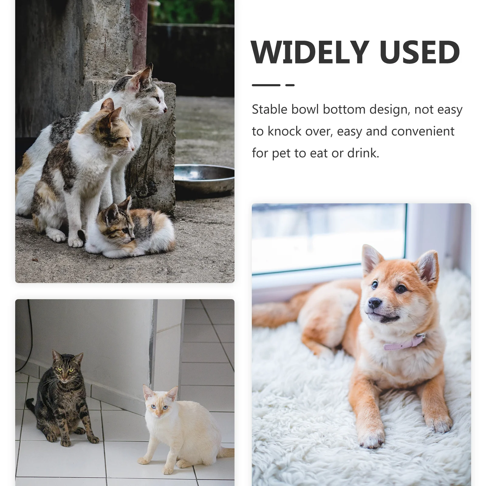 

2Pcs High Foot Pet Bowl Elevated Cat Feeder Non Slip Design Easy Clean Home Decor Gift Safe Round Edges Stable Bottom