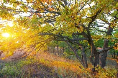 

55*21/62*25/85*35mm 3K Carbon Fiber Bilateral Assist Turn Fins Adjustable For RC O-Boat Hull