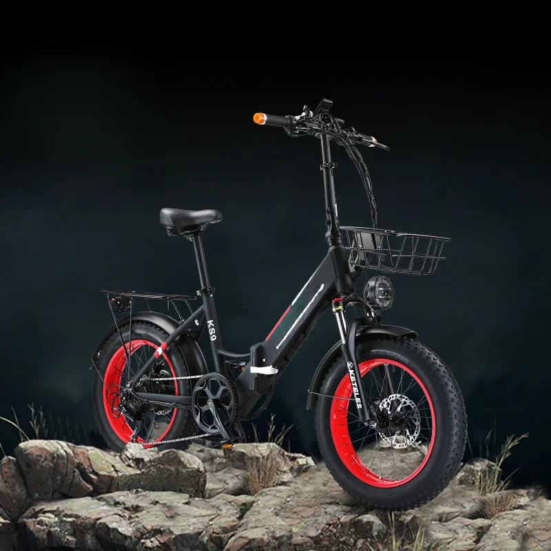 

Factory Direct Wholesale Price Electric Folding Bike 48V 250W Lightweight Portable Foldable Electric Bicycle for Adult Commute