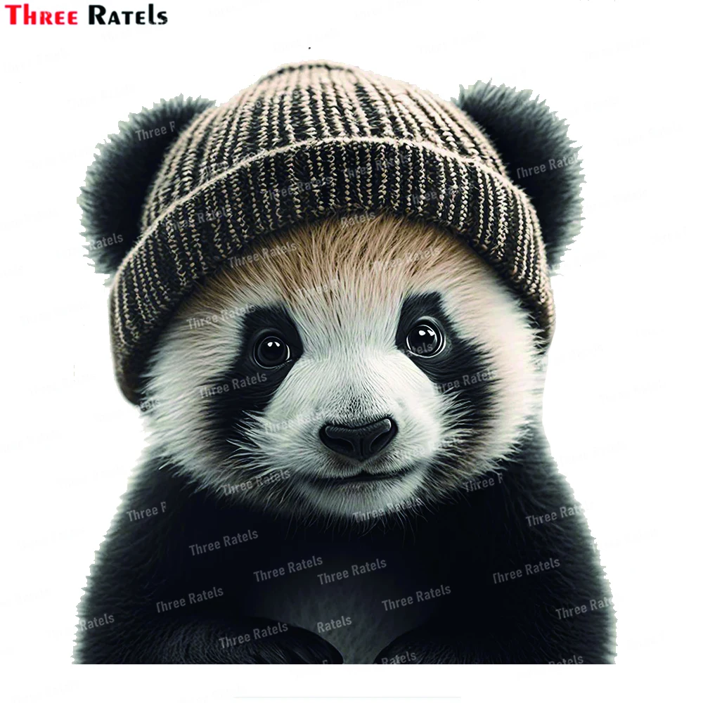 Three Ratels K765 Loveable Baby Panda Wall Art Poster with Beanie Hat  Ideal Nursery Room Decoration for Panda Lovers