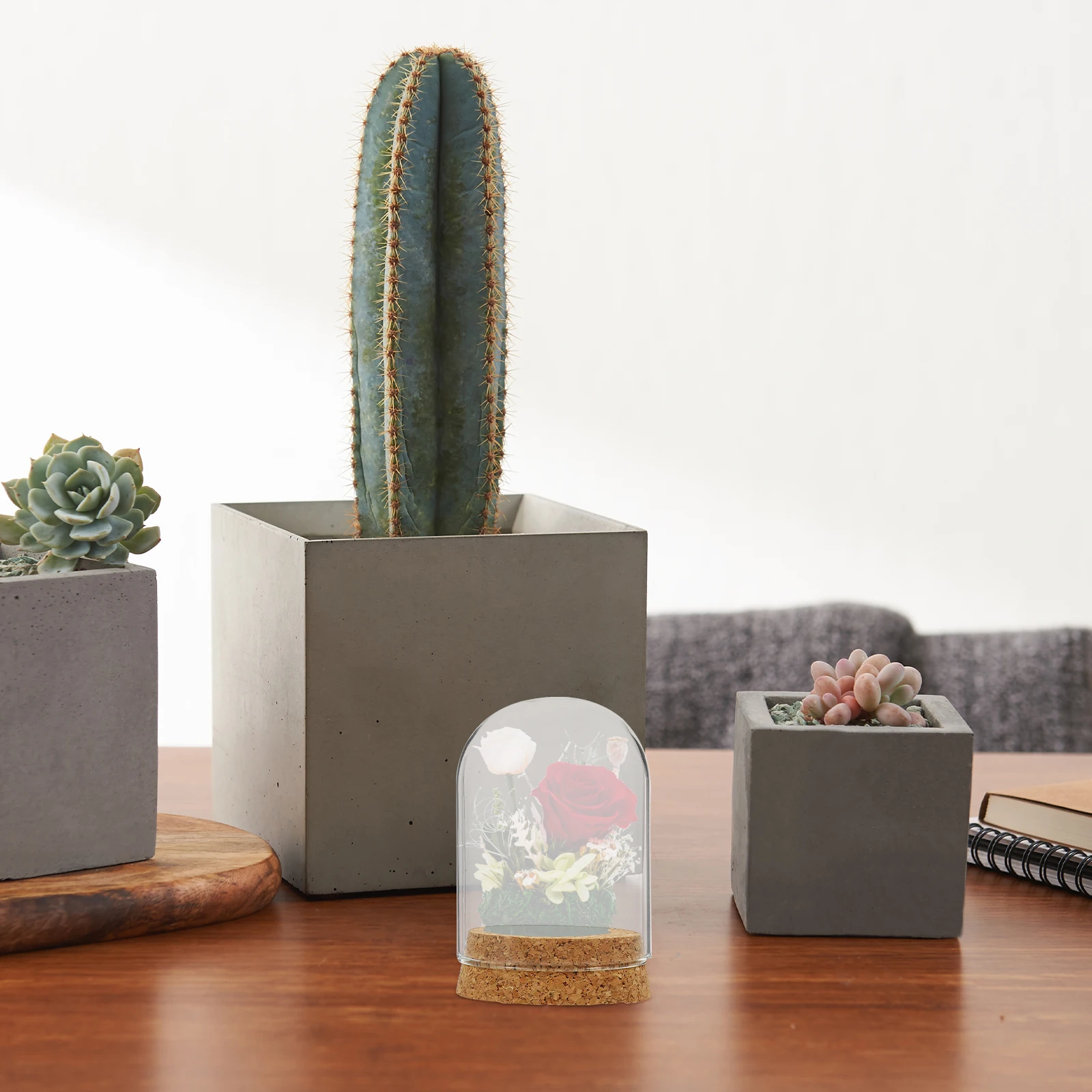 

2Sets Preserved Flower Glass Cover Decor Eternal Flower Display Dome Clear Glass Dome with Base for Desktop Artificial Plants