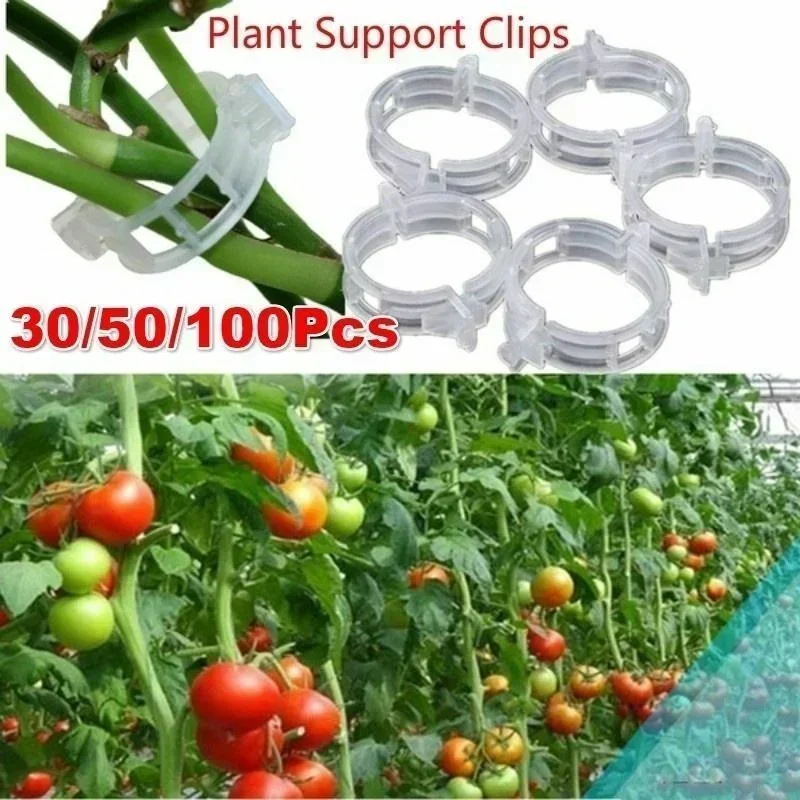 30/50/100 Pcs Plastic Plant Support Clips for Plant Hanging Vegetables Garden Ornament