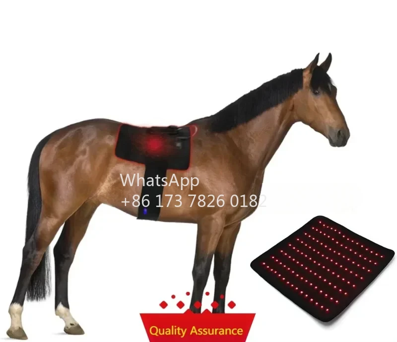 

Red light physiotherapy horse pet 660nm 850nm equine pain relief infrared light physiotherapy pad