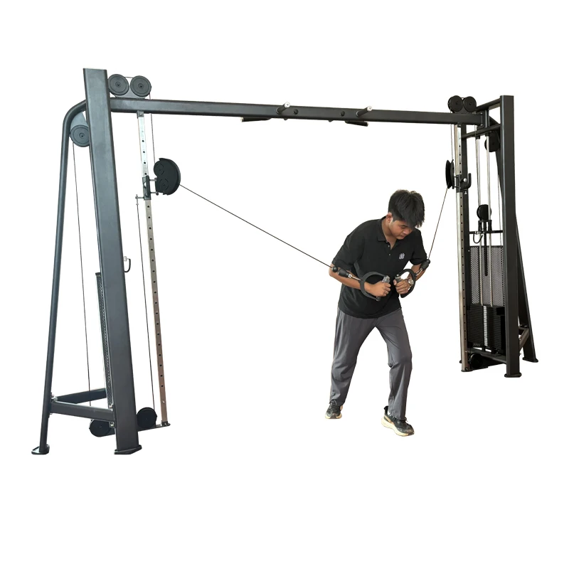 Manufacturer direct sales multifunctional commercial fitness equipment upper body flying bird trainer