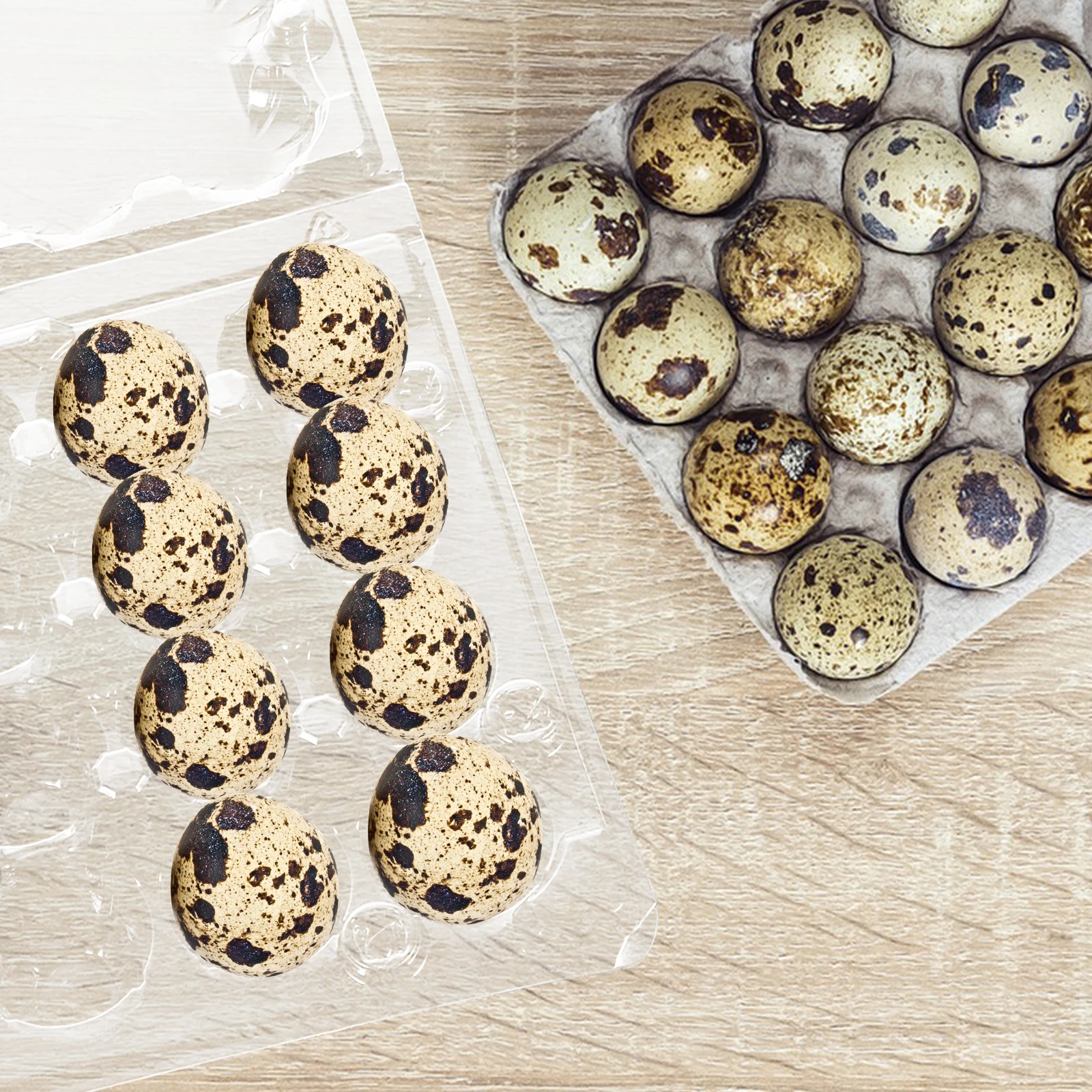 

50pcs Quail Egg Box Storage Container Disposable Carrier Transport Tray Egg Holder Transparent Mini Size Large Capacity
