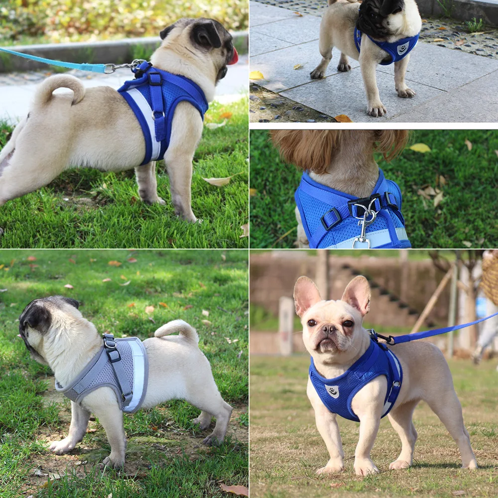 Quality Dog Harness And Leash Set Dog Accessories For Small Dog Chest Harness Dog Leash French Bulldog Pug Medium Pet Supplies