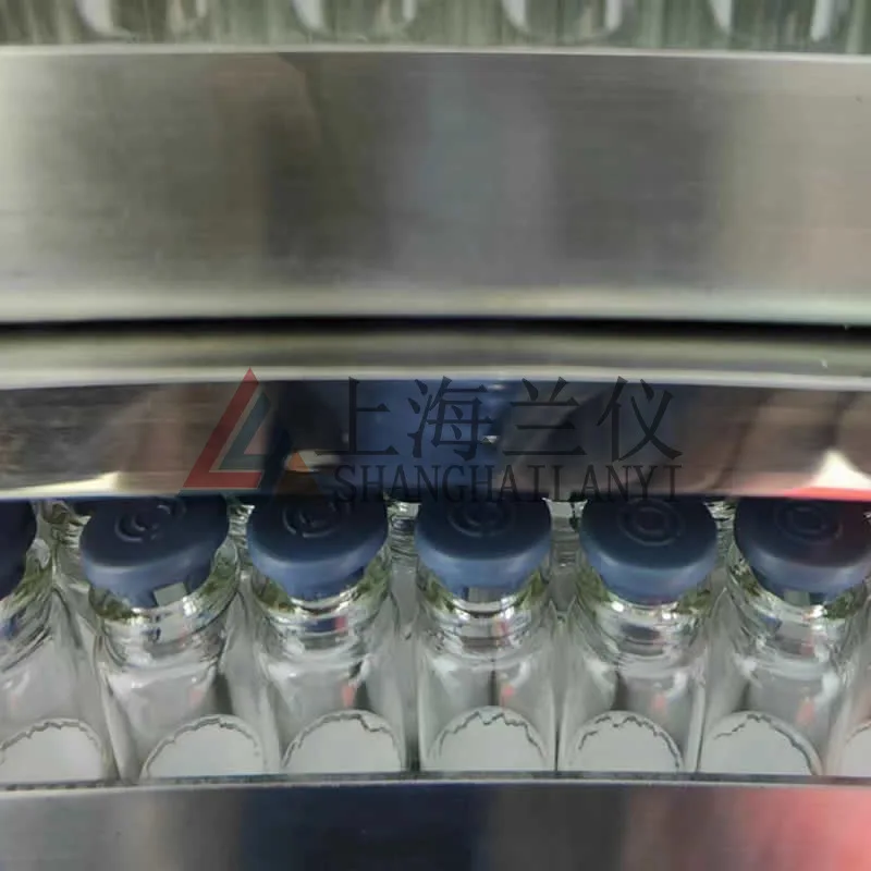 2.25 Tipo di copertura della pressa quadrata Liofilizzatore sottovuoto in posizione Riscaldamento a olio in silicone Installazione e commissione nazionale