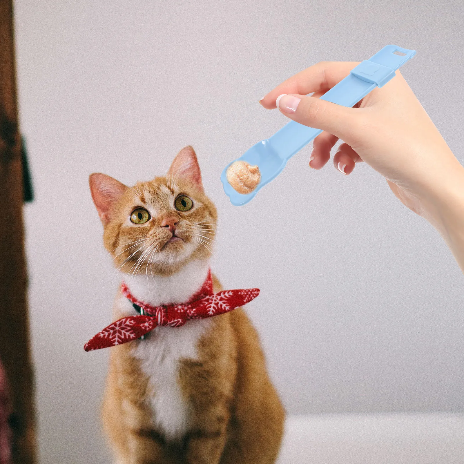 

3Pcs Cat Treat Squeeze Spoon Wet Food Feeder Multifunctional Strips Feeding Tool ABS Material Cat Treat Spoon