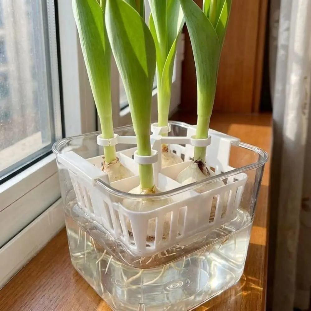 4-Hole Hydroponic Tulip Anti-Tip Stand Stabilize Keep Upright Plant Fixer Bracket Plastic Anti-Fall Tulip Stem Support Clip