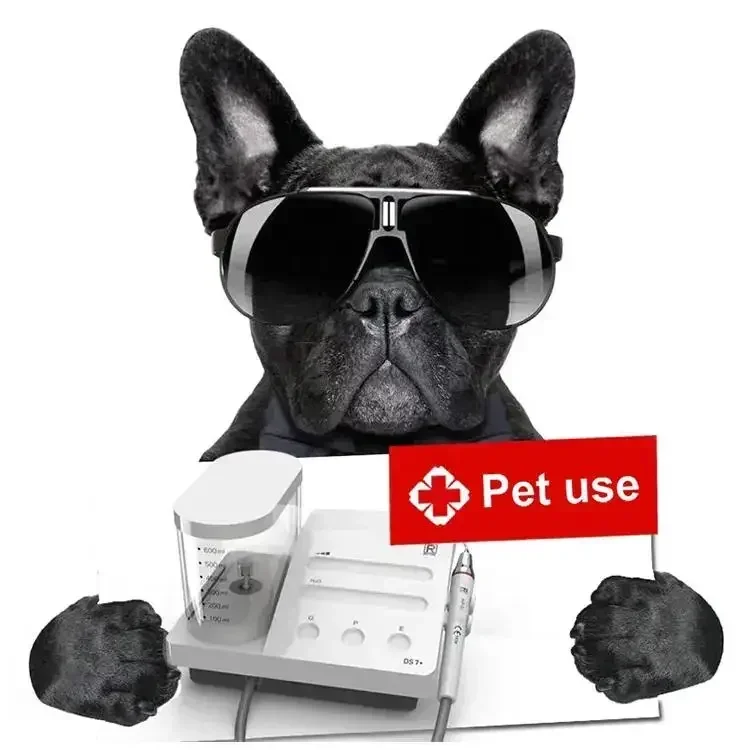 2025 LED Handpiece Pet Hospital Clinic Use Dental Ultrasonic Piezo Scaler