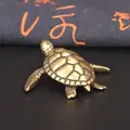 tortoise