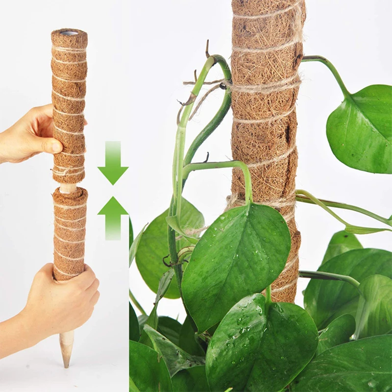 Poste de musgo hecho a mano extensible para plantas, varilla trepadora, poste de plantas para plantas trepadoras, palo de musgo hecho a mano Real F