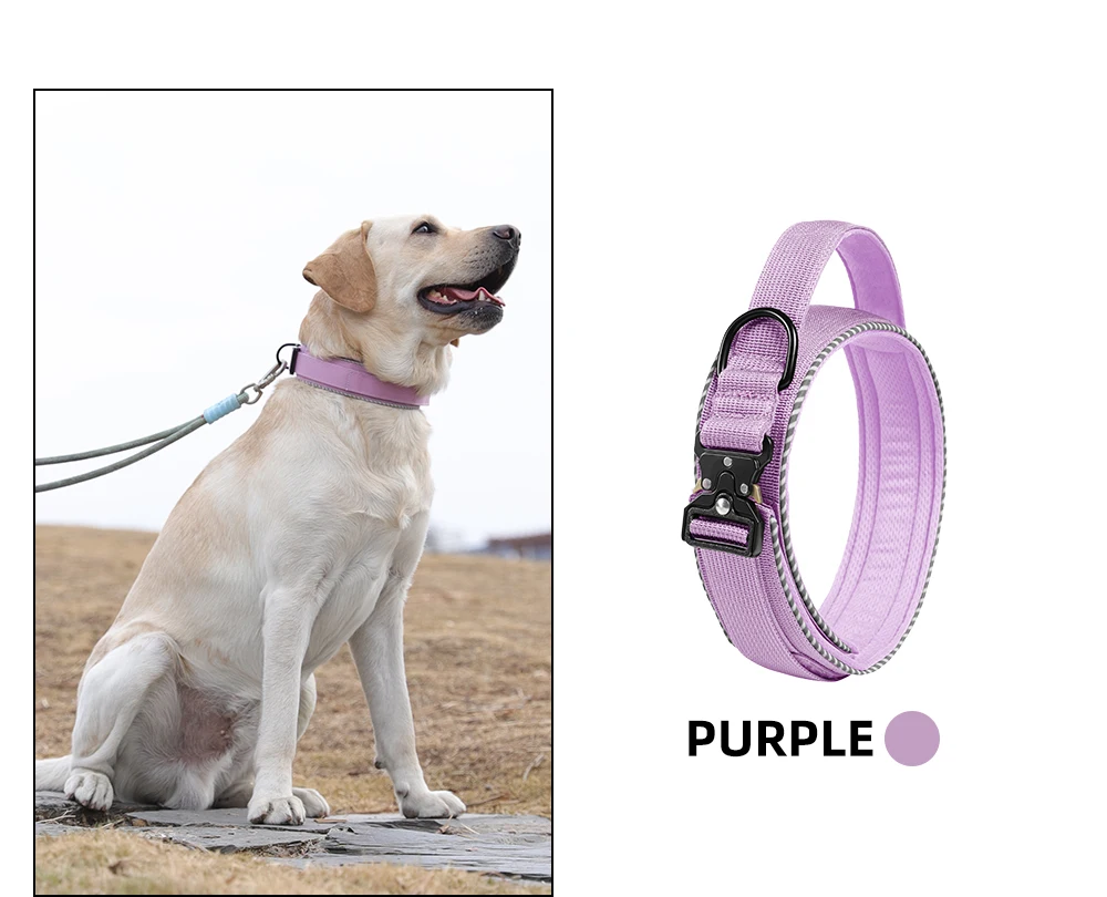Taktisches Hundehalsband, verstellbares Hundehalsband für mittelgroße und große Hunde, Golden Retriever-Halsband mit Kontrollgriff, hochwertige Schnalle. – Detail 19