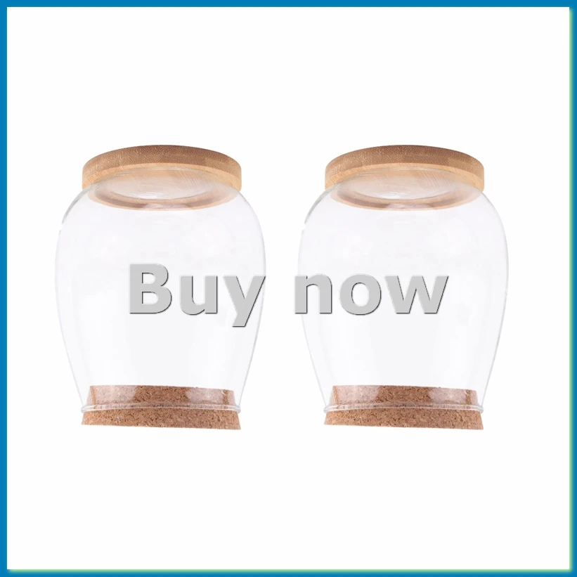 Plants Propagation Stations, 2 Pcs Separated Desktop Plant Terrarium with Wooden Tray & Lid for Propagating Hydroponic-A14I
