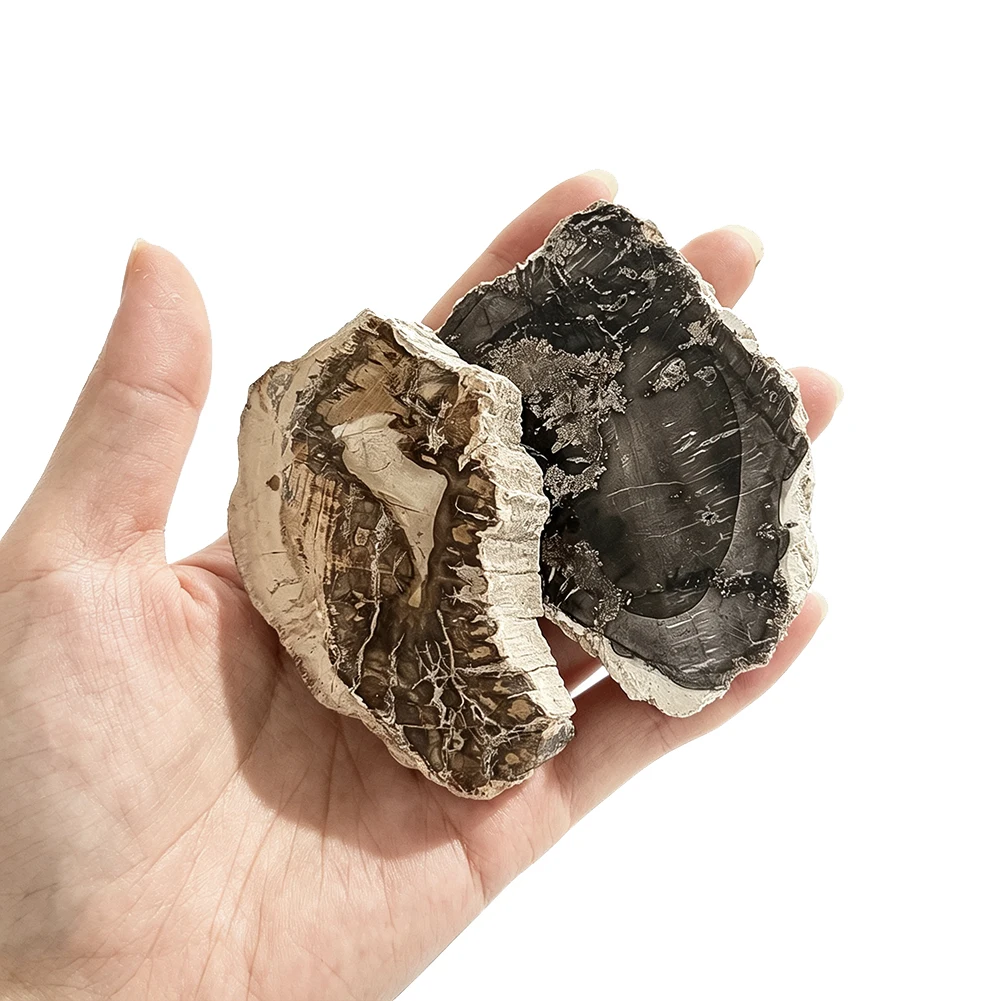 Natürliches Versteinertes Holzstück, Unregelmäßige Raue Mineralsteinplatte für Schreibtischausstellung, Heimdekoration, Sammlerstück – Detail 3