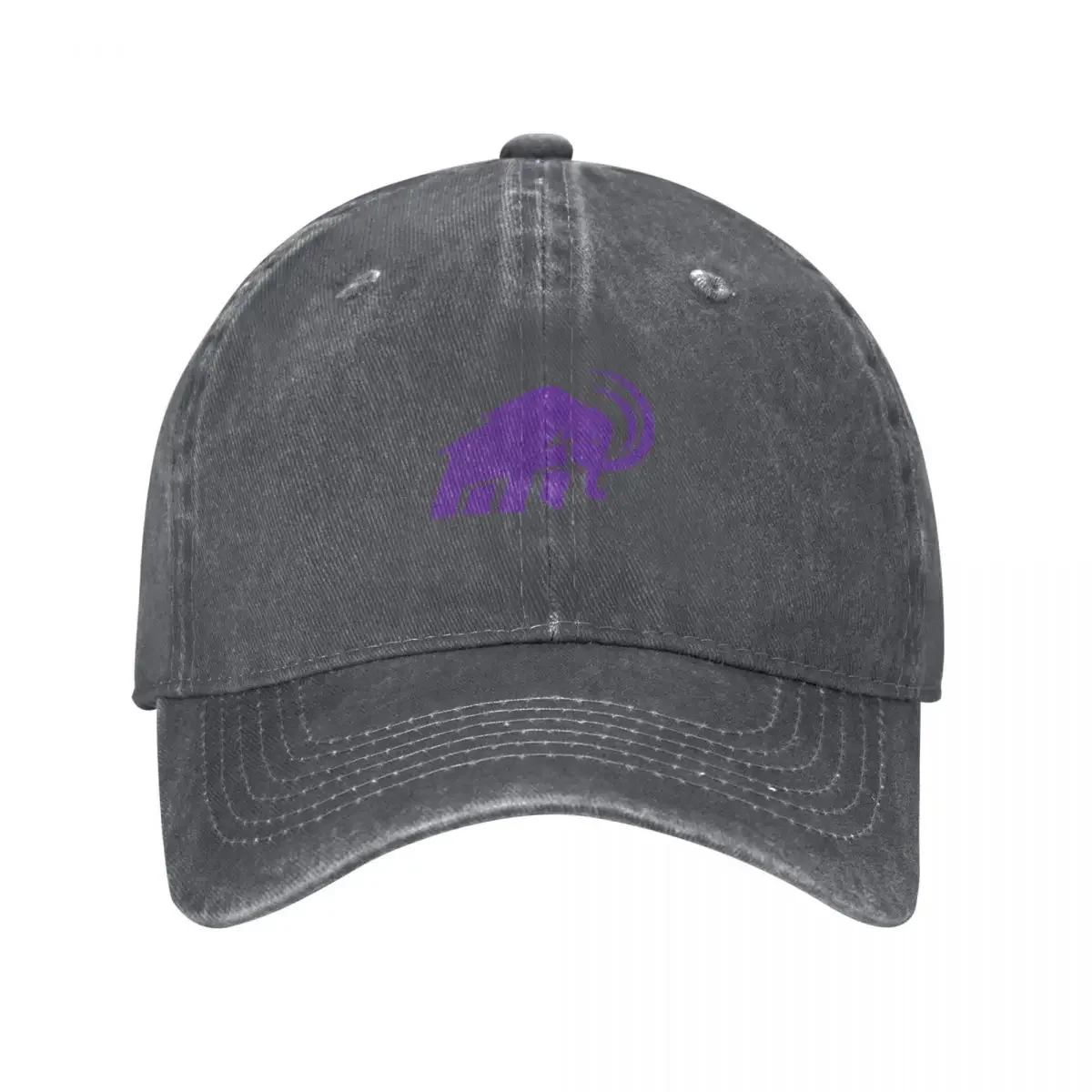 

Amherst College Baseball Cap Male hat Snap Back Hat custom caps Baseball For Men Women's