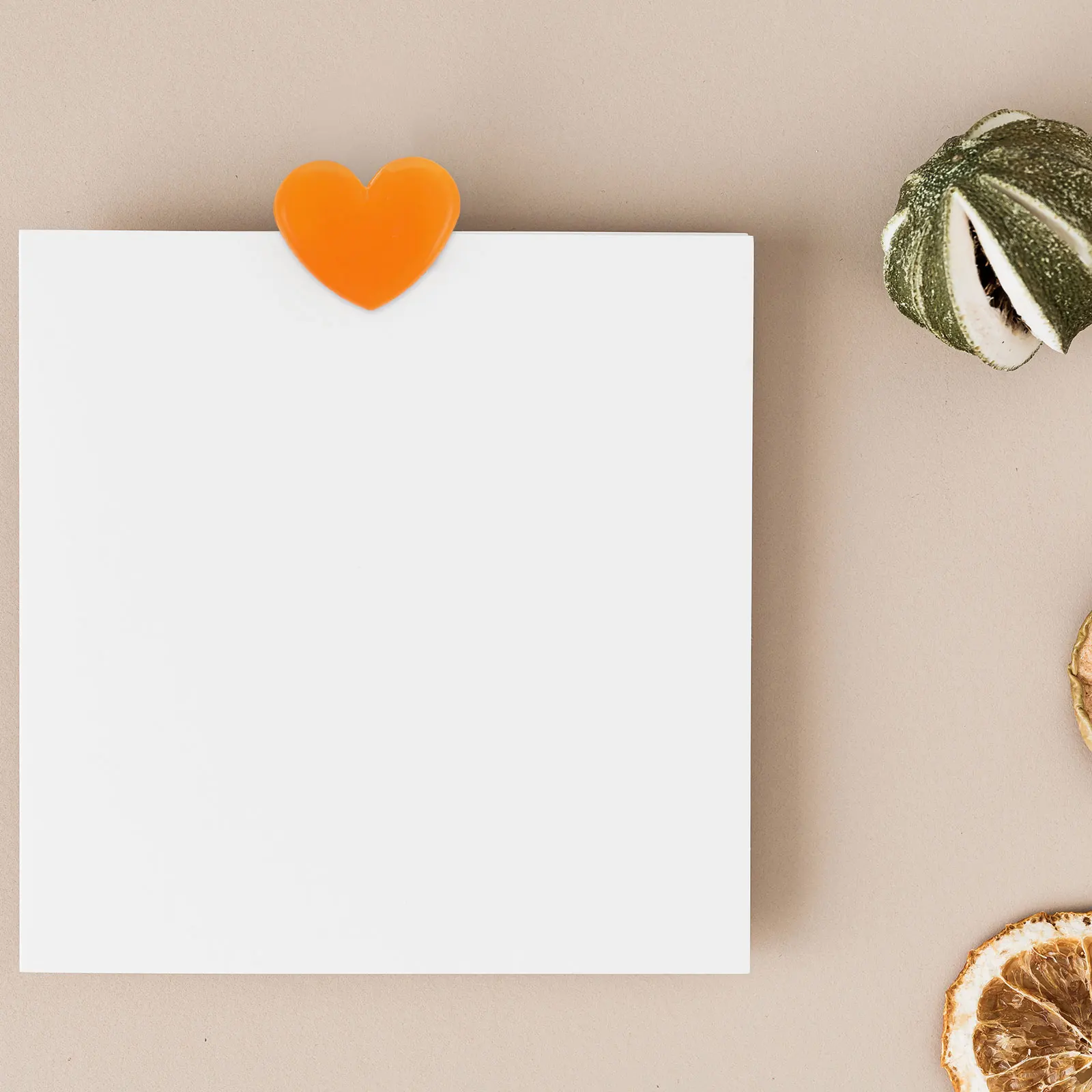 

20Pcs Decorative File Clips Office Supplies Documents Folder Exquisite Workmanship Smooth Surface Firmly Fix Bills Notes