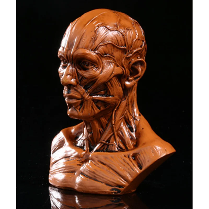 Resin Muscle Skull Halloween Gift