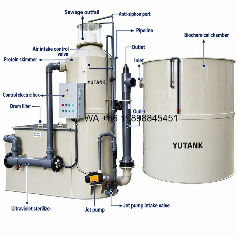 Wmwmnu Integrated RAS Aquaculture System Protein Skimmer Biofilter Box Drum Filter for Fish Farming Turnkey RAS