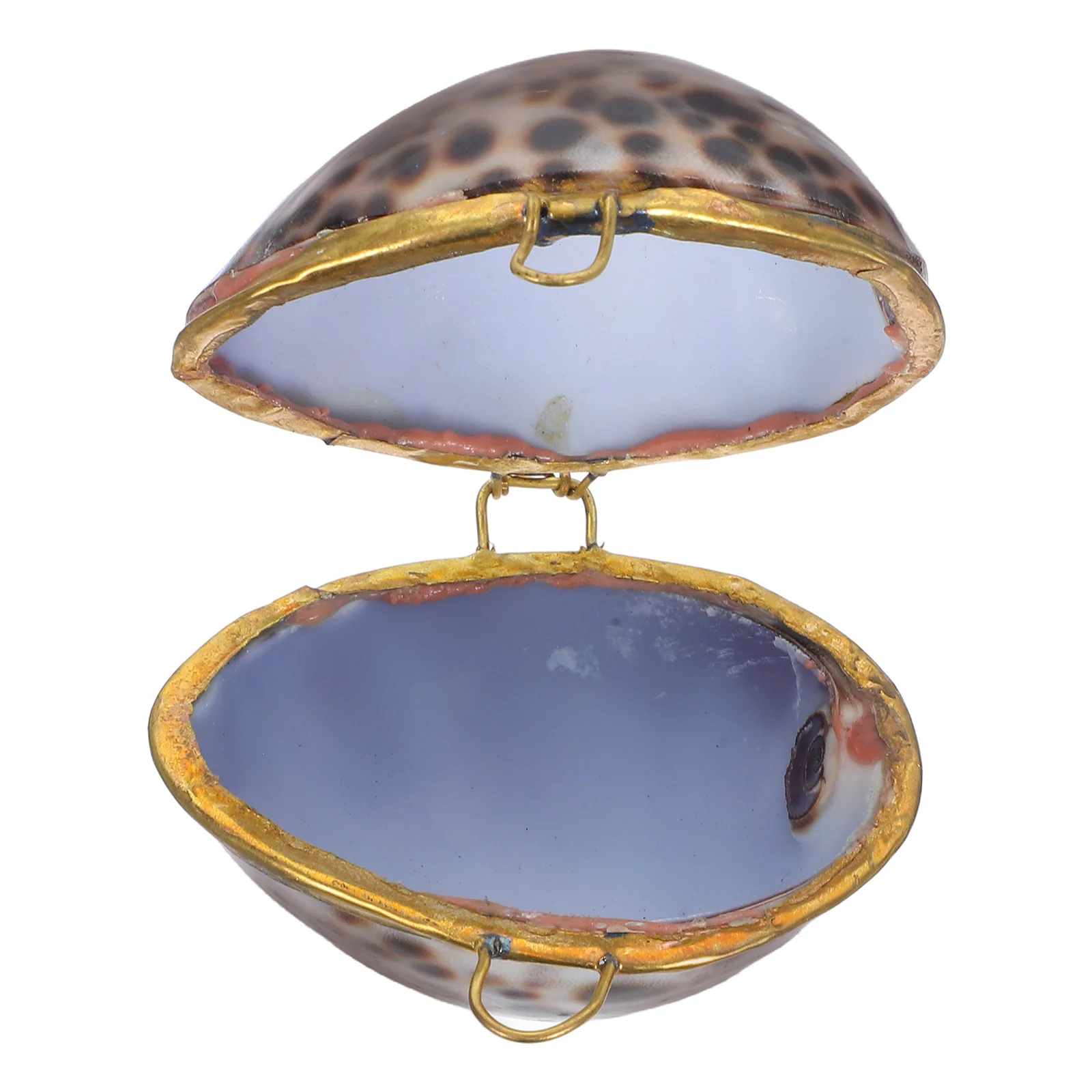 

1 шт., чехол для колец в форме ракушки, подарочная коробка для хранения ювелирных изделий, коробки для хранения ювелирных изделий для женщин и девочек, коробка для ожерелья, органайзер, чехол