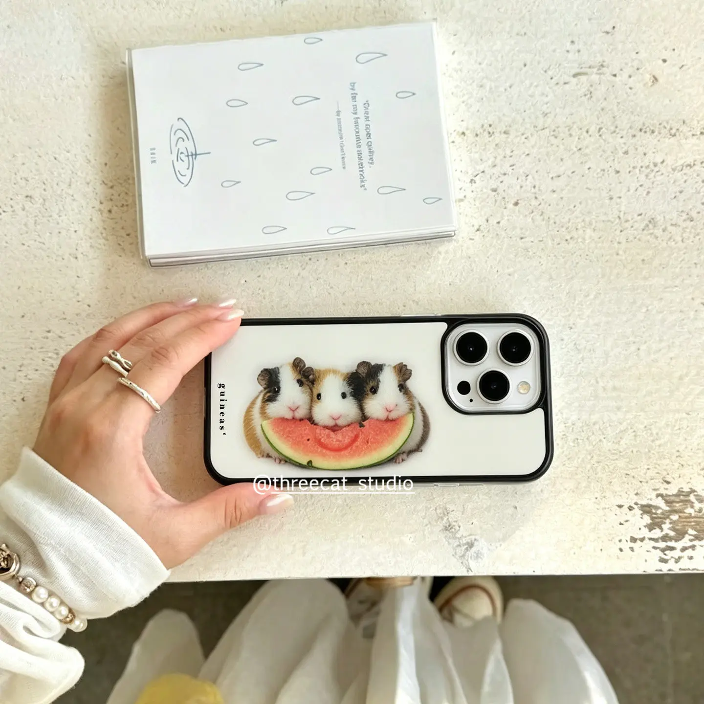 Korean Ins Guinea Pig Eat Watermelon Phone Case For iPhone 17 Air 16 Pro Max 15 14 Plus 13 12 11 Shockproof Silicone Back Cover view 2