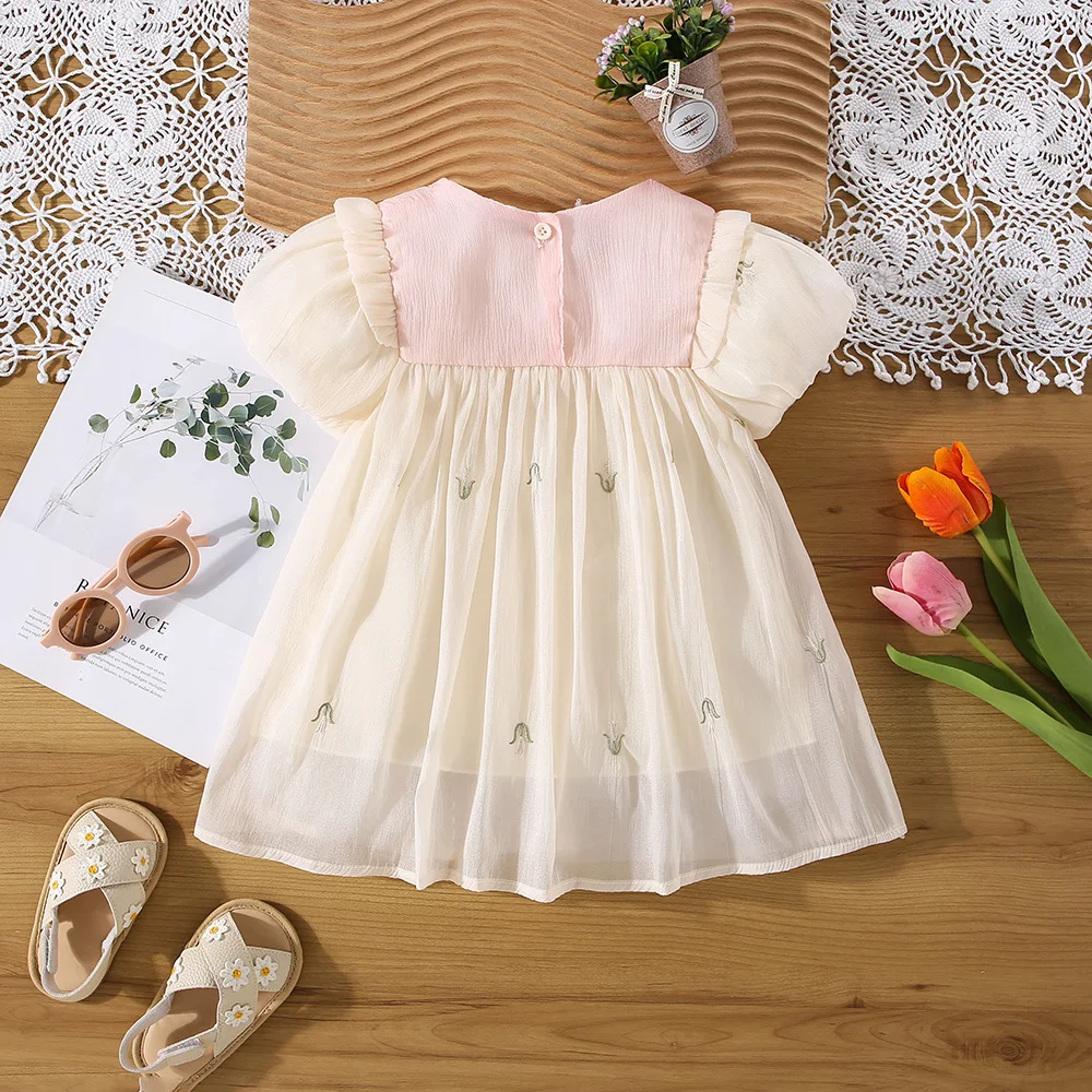 Summer Baby Girl Dress Girl Colored Collar 3D Small Bow Small Flower Embroidered Mesh Princess Dress