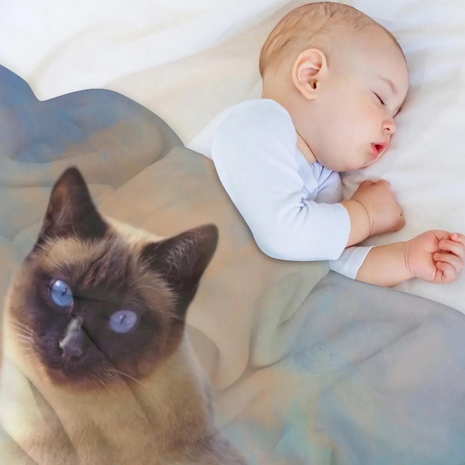 Seal Point Siamese Cat Throw Blanket Large For Sofa Thin Moving bed plaid Blankets