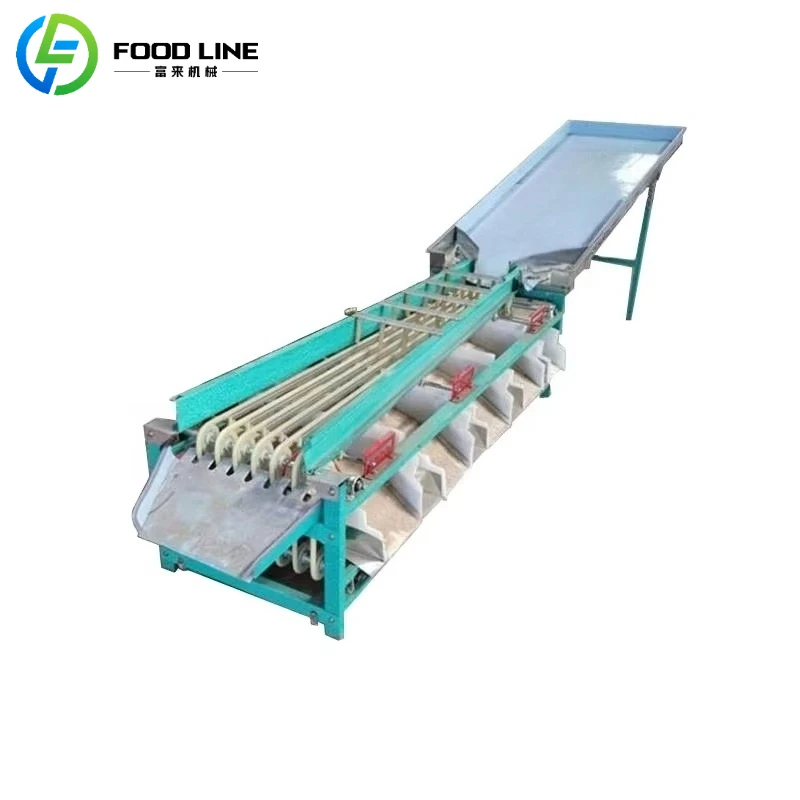 

Линия для сортировки и обработки фруктов и овощей на заказ: сортировочная машина для вишни, оливок, фиников. Цена.