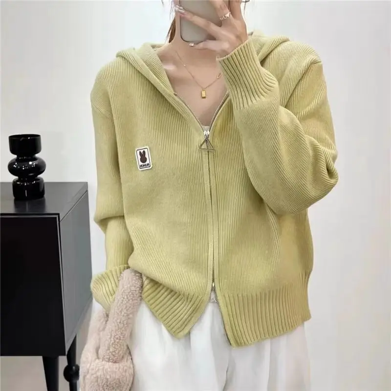 Hooded Knitted Cardigan Autumn New Women\'s Fashion Western Sweater Short Coat Top
