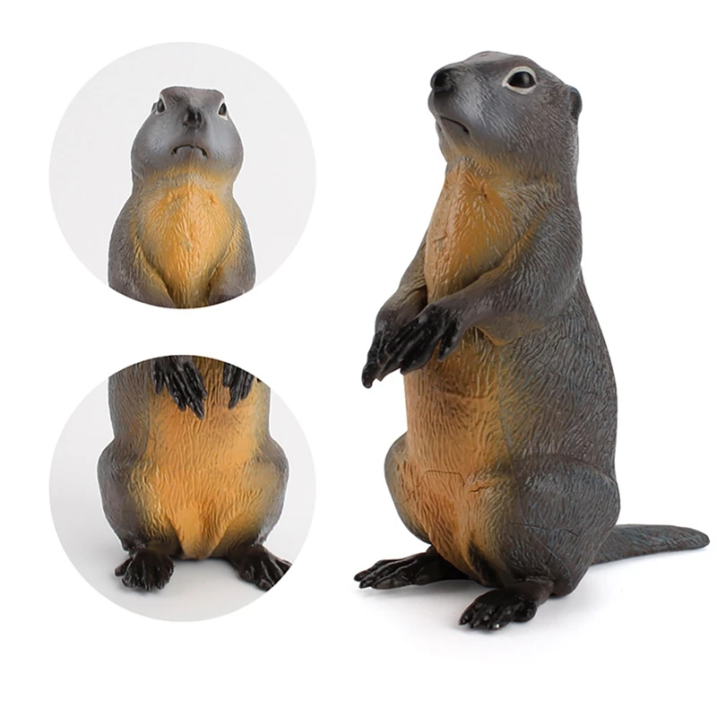 Hadiah anak-anak mainan edukasi dini ornamen Desktop Groundhog Model Solid hewan liar hutan simulasi