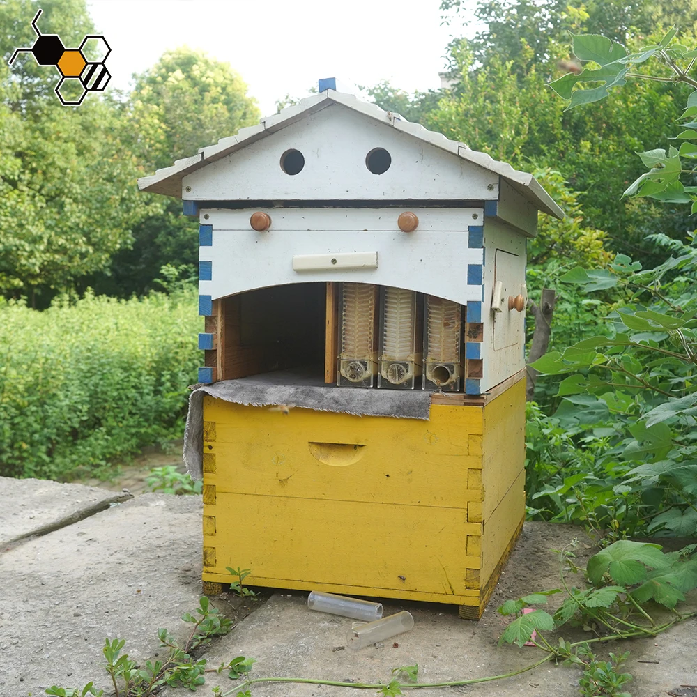 Automatic Wooden Flows Hive House Upgraded Auto Frame Comb-Beehive Box Honey Free Harvesting