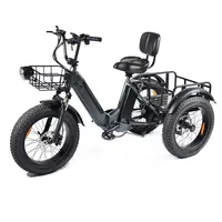PULUMA SL001 Adult Electric Tricycle 500W*2 Motors 48V 13.5Ah Dual-Battery E- Tricycle 20*4 Inch Tires City Electric Tricycle
