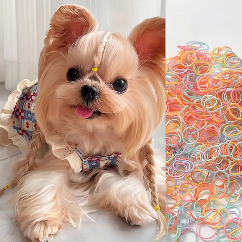 

Disposable Elastic Pet Hair Ties High Elastic Durable Hair Bands Hair Scrunchies Accessories for Pet Grooming Styling