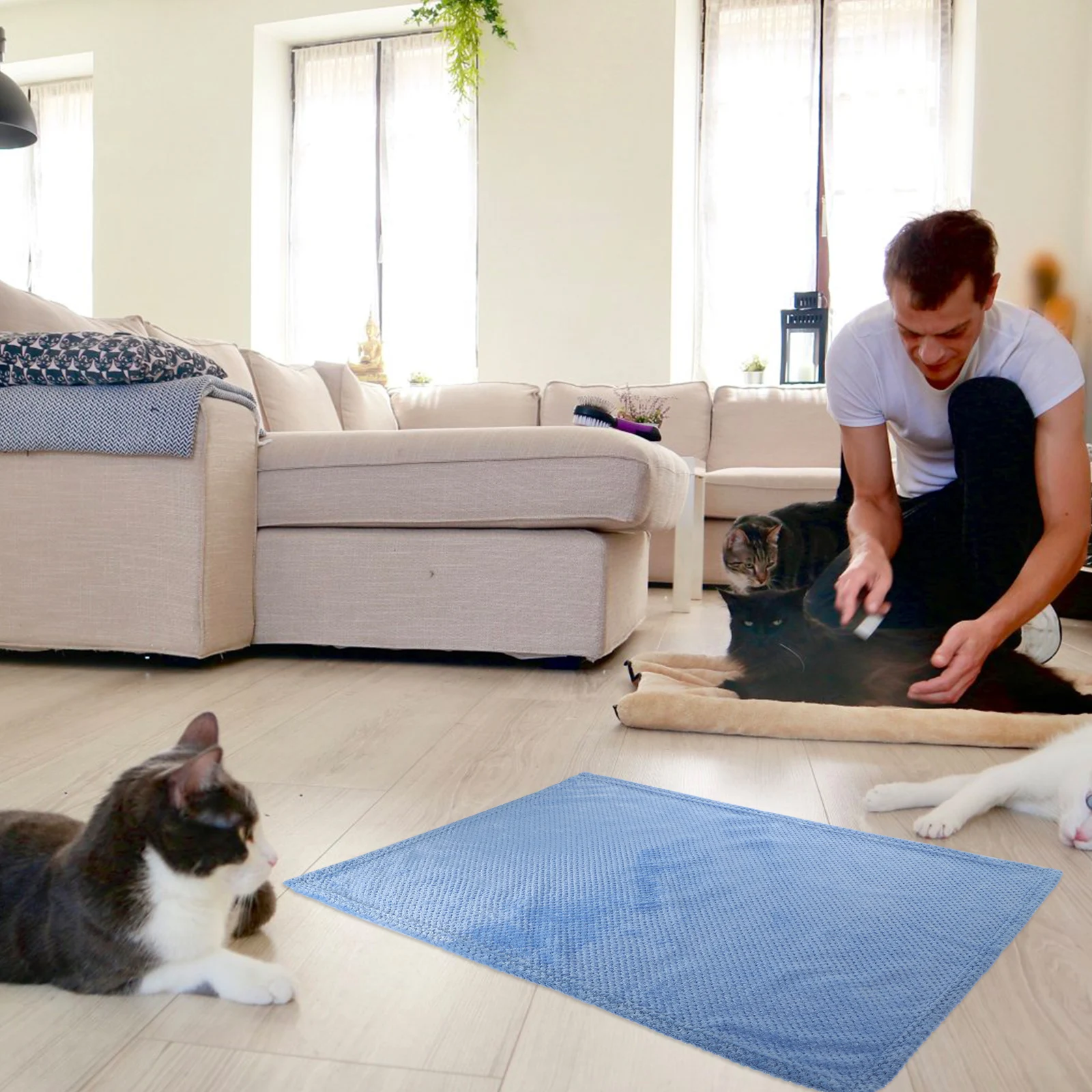 

Dogs Blanket Warm Soft Simple Sleeping Mat For Cats Puppies Four Season Use Blue Size S Pet Comfortable Bed