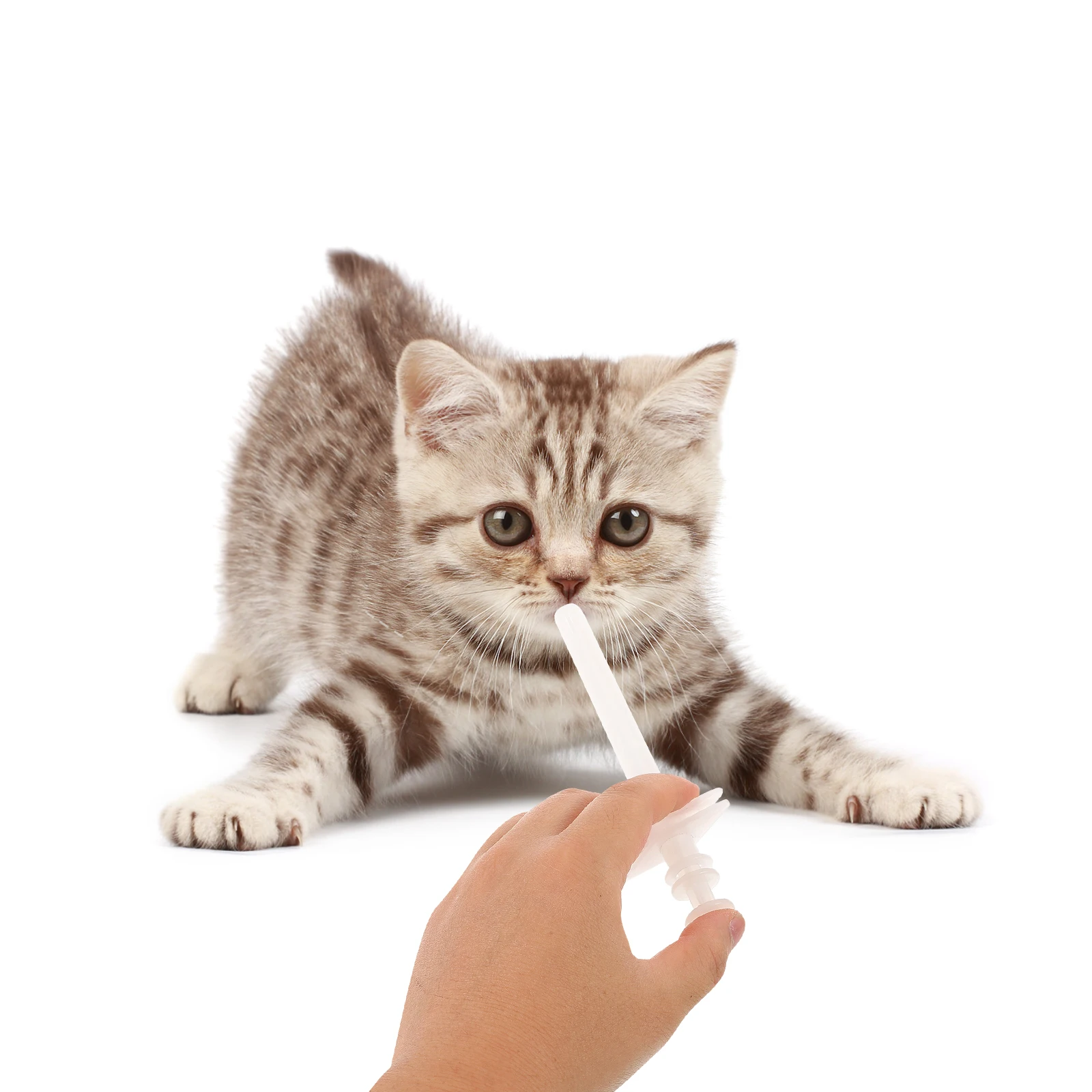 

4 PCS Pet Medicine Feeder Pill Piller Universal Dog Medication Pp Pilling Device