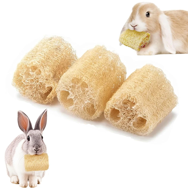 2 juguetes para masticar para conejos, juguetes para masticar de lufa natural para limpiar los dientes, juguete de forrajeo para animales pequeños, para conejos y chinchillas
