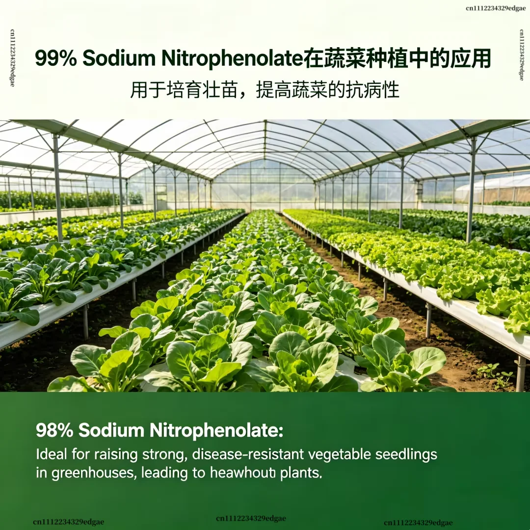 98% Sodium Nitrophenolate Foliar Fertilizer, Growth Regulator for Potted Ornamental Flowers, Promote Flowering & Strong Growth