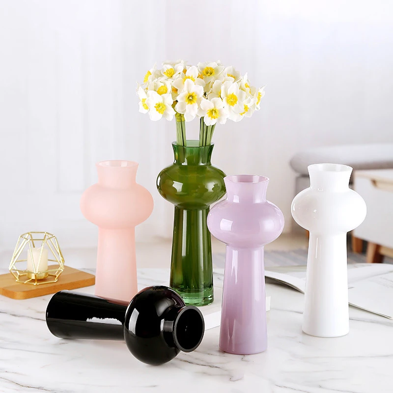 Vintage Instagram Style Ornaments, Living Room Tall Glass Vase, Hydroponic Flower Vase, Hydroponic Glass Vase