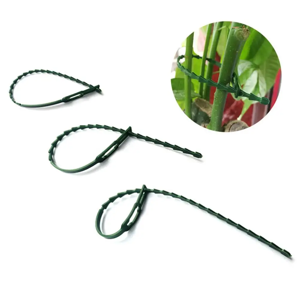 

30/50pcs Adjustable Plant Cable Ties Reusable For Garden Supplies Tree Climbing Support Plant Vine Tomato Stem Clip Ribbon S5O8