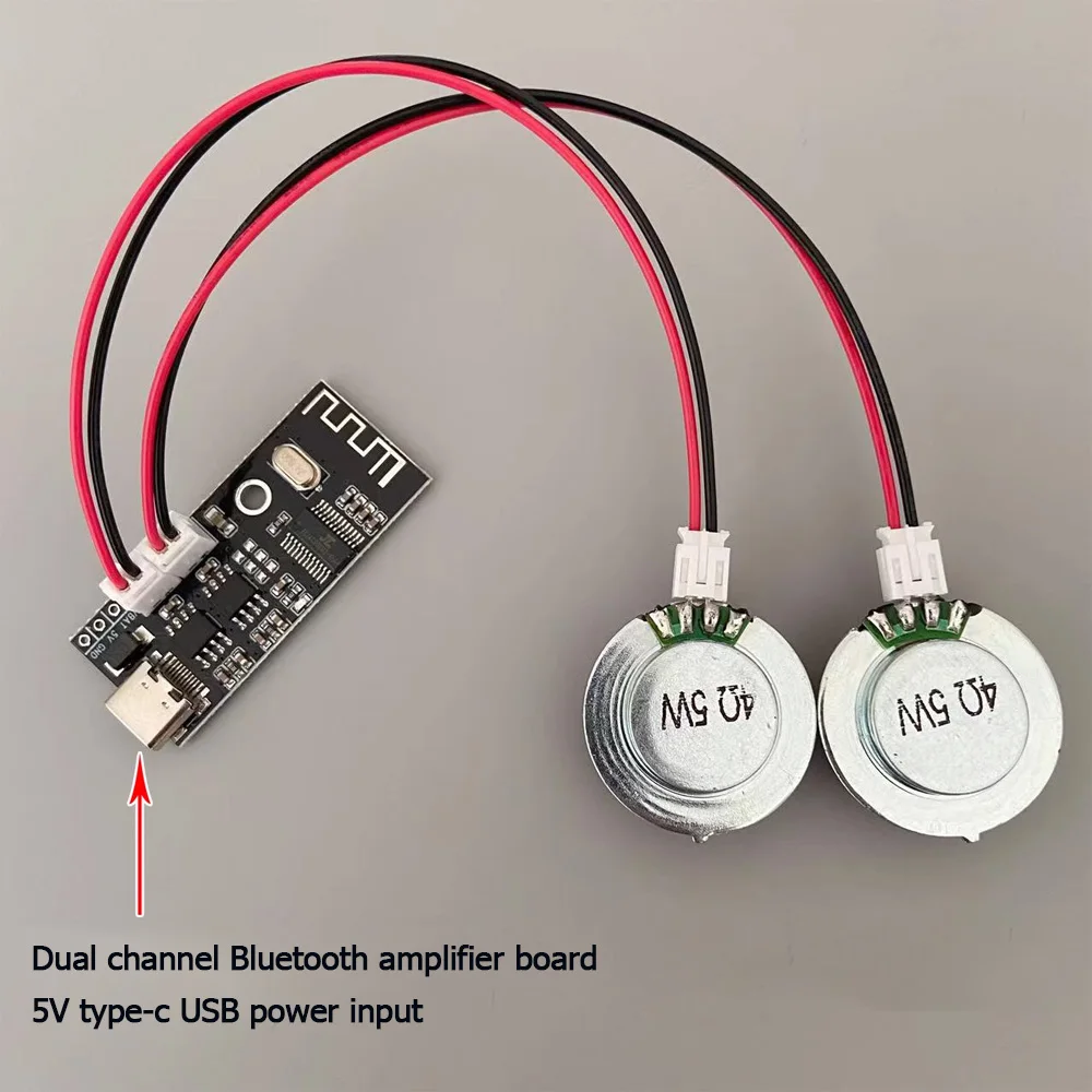 4Ohm 5W diy speaker Bone conduction hidden sound system Vibration horn resonance with Bluetooth amplifier board