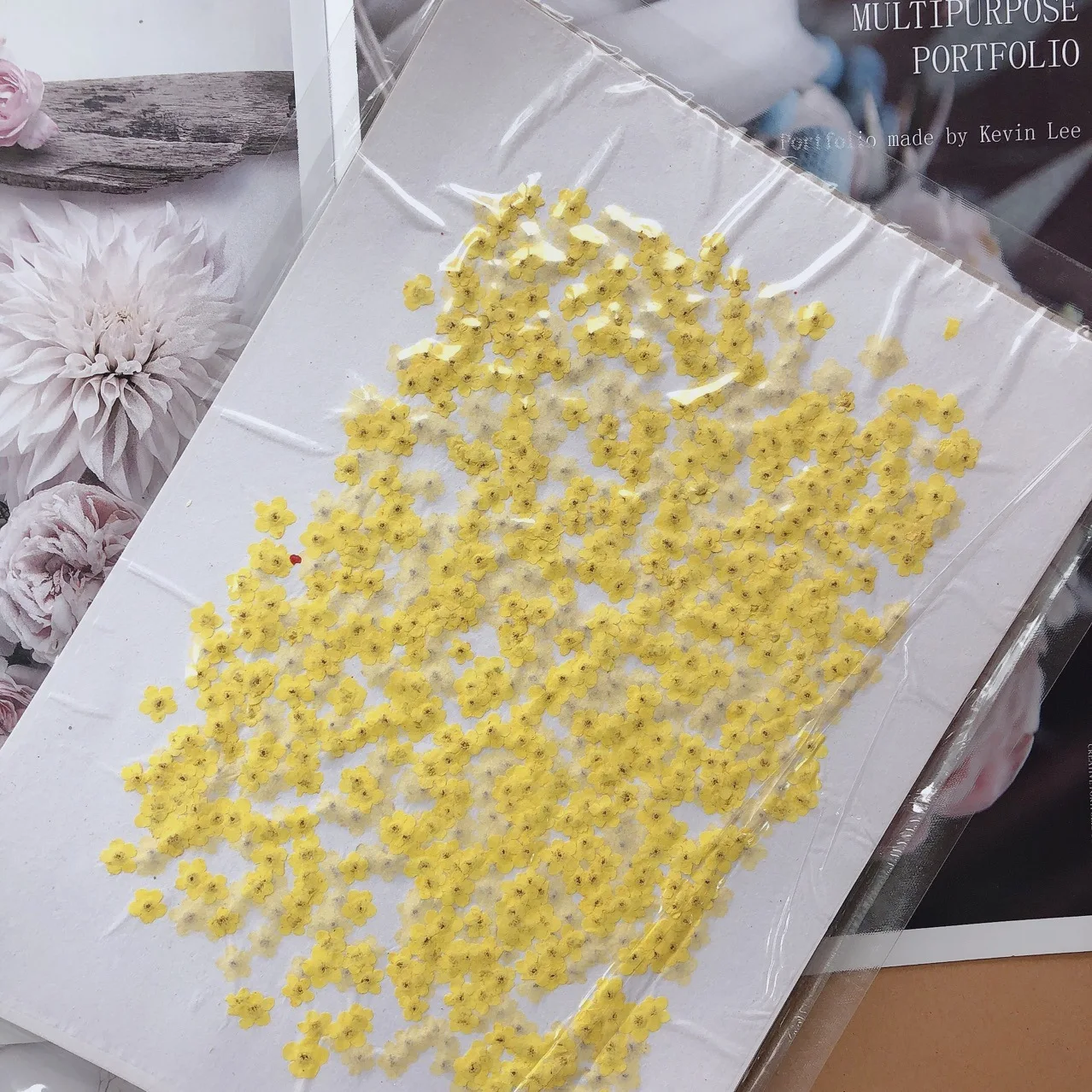 80 Stück/0,5-1,5 cm, Gepresste Mini-Vergissme-nicht-Blütenblätter, Gefärbte Echte Mini-Blumen für DIY-Nageldesign, Basteln, Foto-Geschenkkarten – Detail 10
