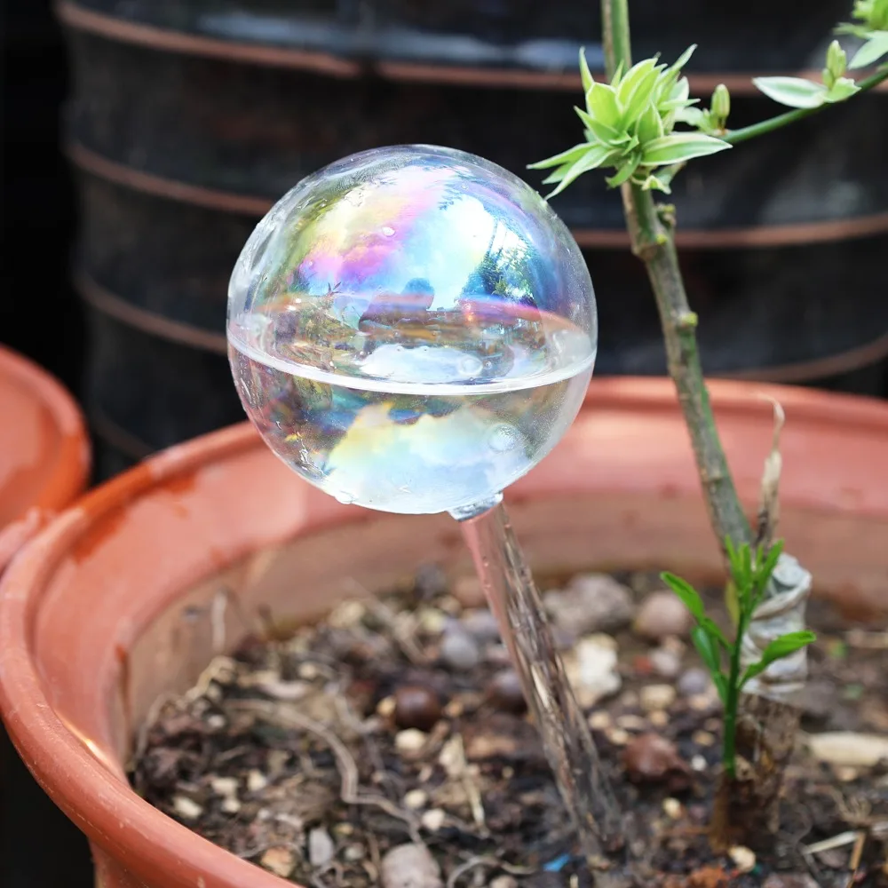 4/1PCS Plant Watering Globe Rainbow Color Self Watering Glass Bulb  Automatic Drip Irrigation Supplies Garden Insert Water Device - AliExpress  15