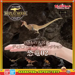 BANDAI Biological Encyclopedia Action Figures Model dinosaur Tyrannosaurus rex Triceratops Gashapon Ornament Collect ornaments